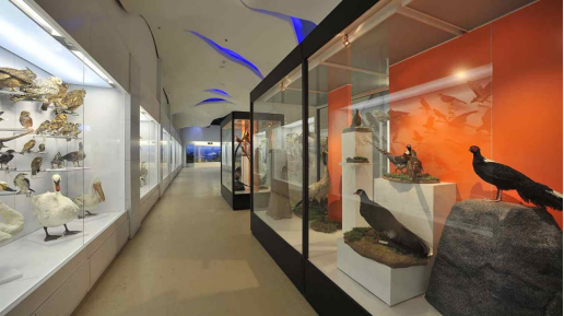 展廳設(shè)計(jì)|展館設(shè)計(jì)|主題游樂館設(shè)計(jì)|校園文化館設(shè)計(jì)|多媒體展廳|文博館設(shè)計(jì)|規(guī)劃館設(shè)計(jì)|展廳展館設(shè)計(jì)施工公司